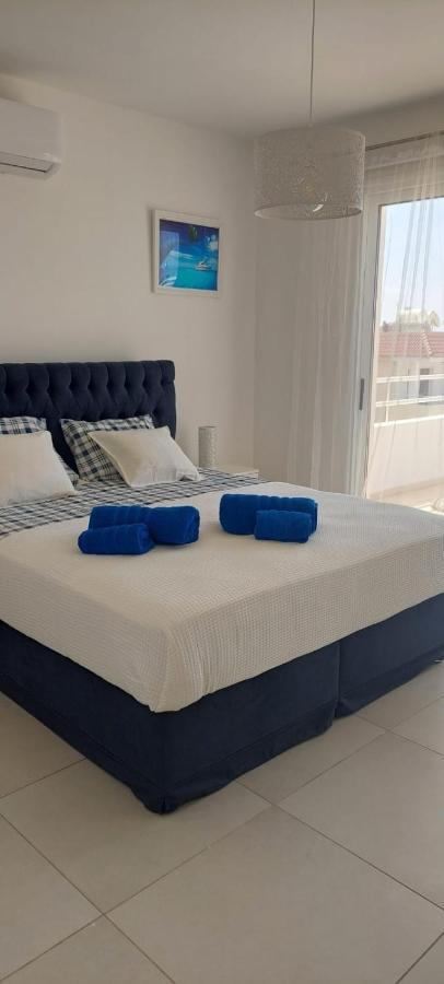 Nissi 3 Amazing Sea View Apartment 圣纳帕 外观 照片